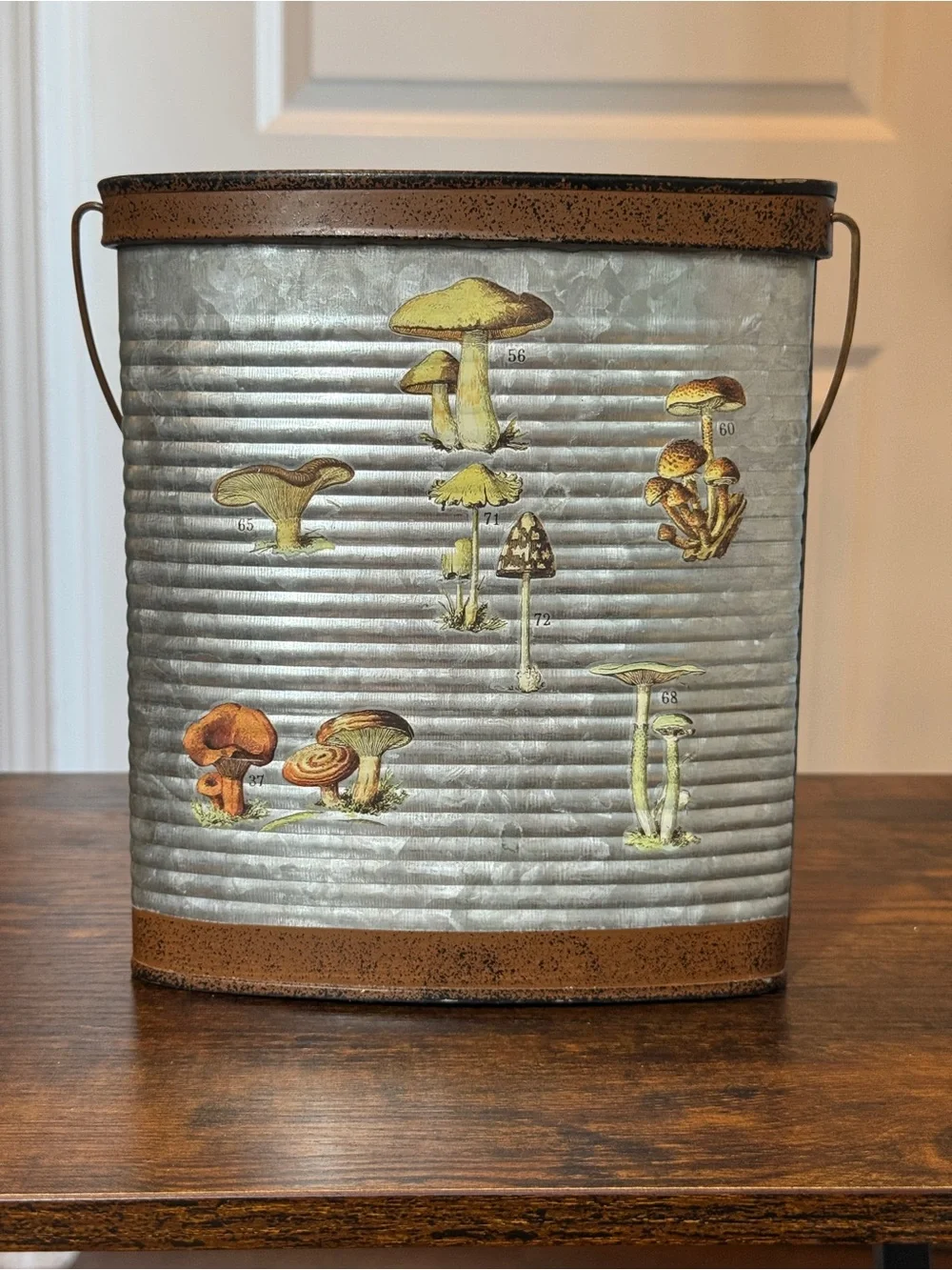 Rustic Metal Mushroom Accent Bucket - Gray and Brown